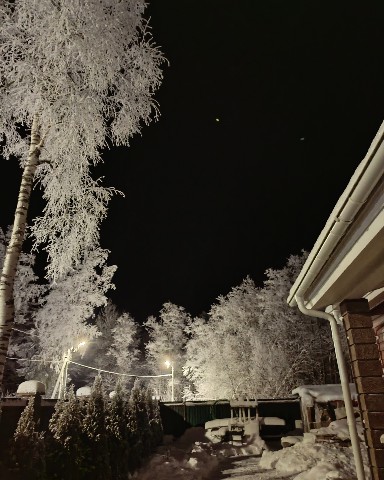 MrGoldman в LOOKY. . Зимняя сказка ❄