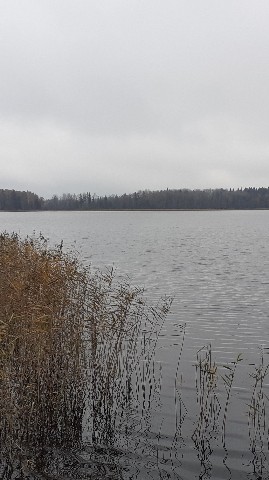 Дмитрий Бахарев в LOOKY. #Наговье. #Наговье