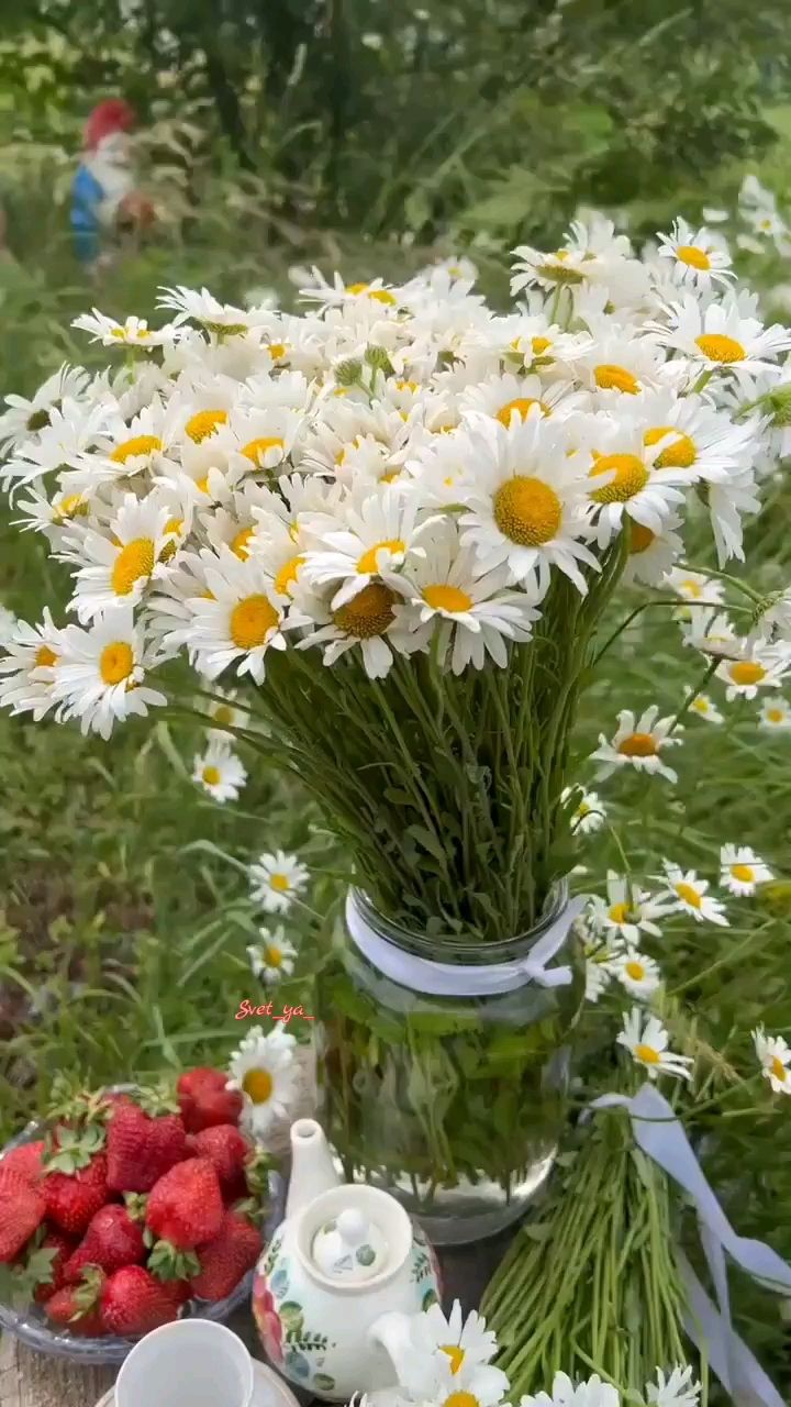 Svet_ya_ в LOOKY — 🌼🍵Всё великое начинается с хорошего воскресного утра. 😉


