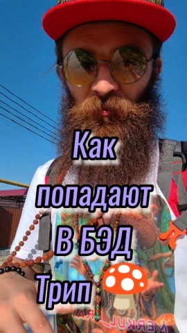 Looky_1694102793679 в LOOKY. #МухоморныйТрип,#Мухомор,#МухоморныйРетрит. Мухоморы это не игру...
