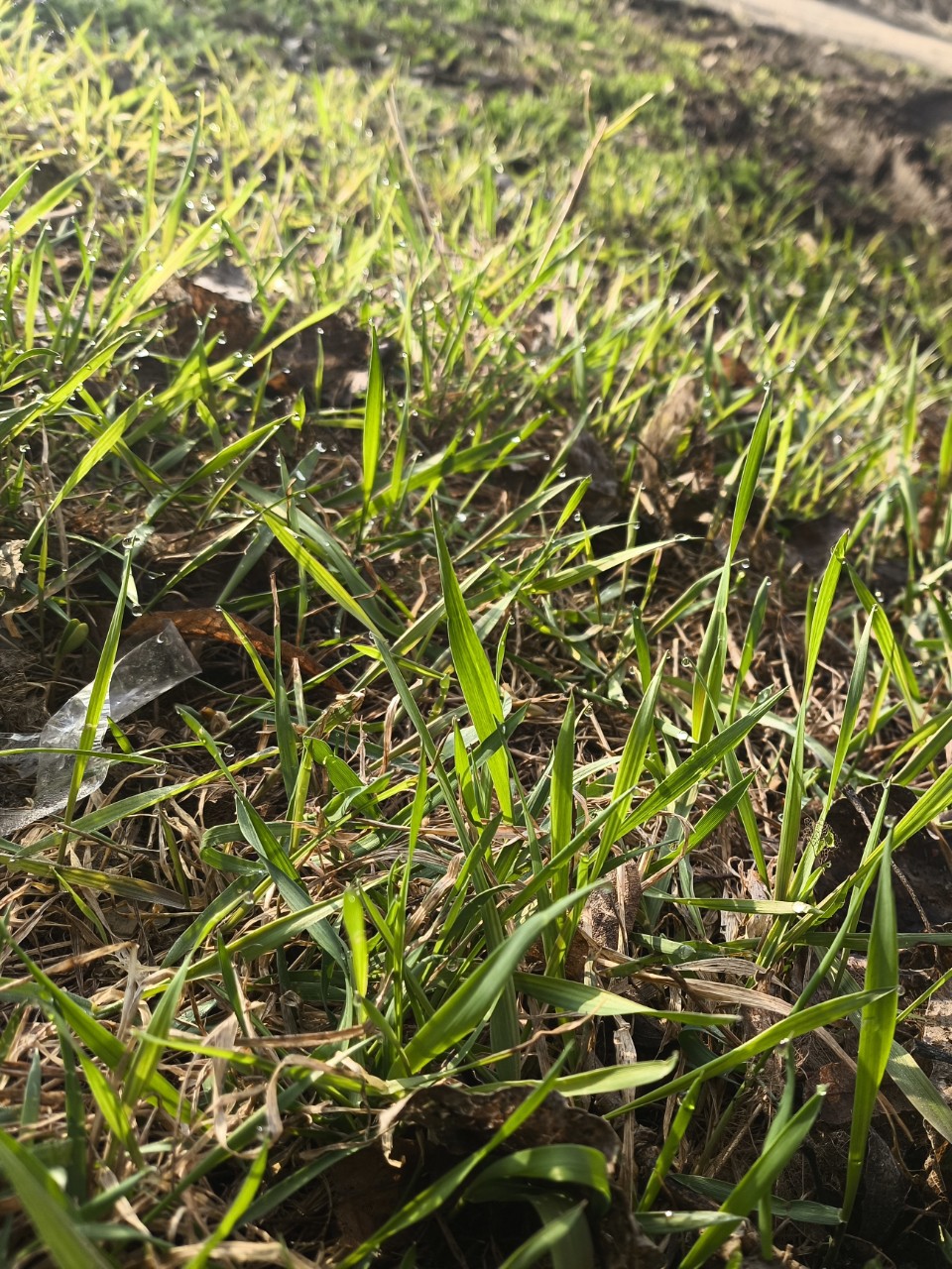  в LOOKY — фото 4