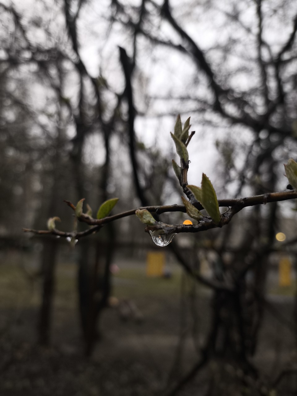 Весна... что может быть прекраснее 😍
[#весна ](весна)