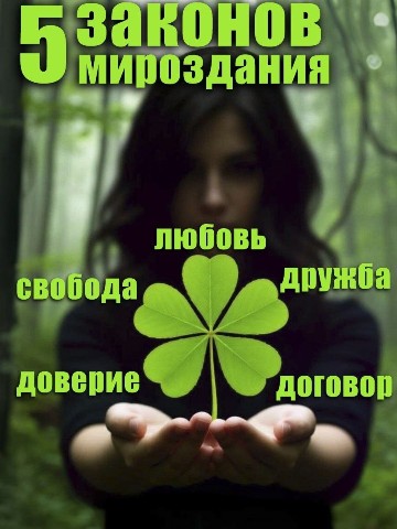 vestnik_sozdatel в LOOKY. . Смотрим новое видео ...