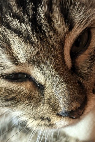 Looky_175223609393520 в LOOKY. . 