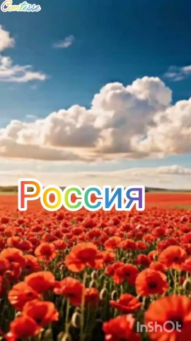 LComtesse в LOOKY. #день_российского_флага#спраздникомроссияне#люблю_Россию🇷🇺🫶. #день_российского_фл...
