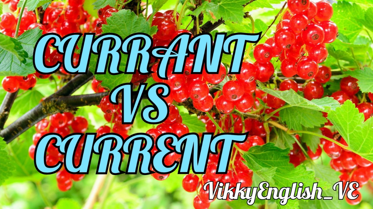 VikkyEnglish_VE в LOOKY — Hey! Do you like currant in the current season?

currEnt – т