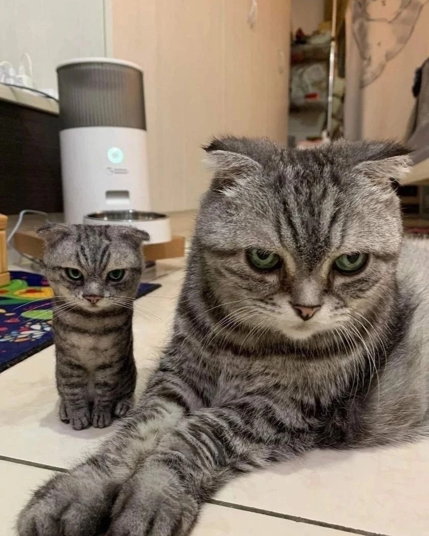 котики в нейронке в LOOKY — фото 2