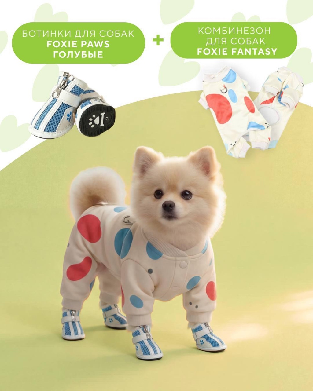 LOOKY бизнес в LOOKY — фото 2