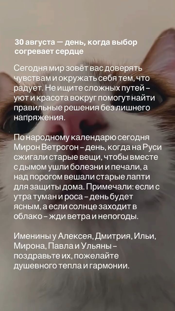 valkarat