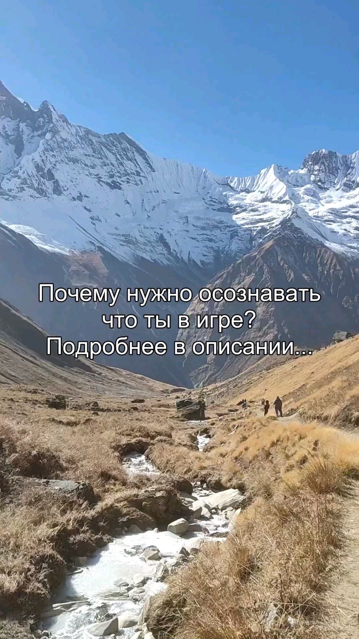 Oleg_teem в LOOKY. #игра,#осознанность,#стратегия,#психология,#свобода. Ты думаешь, что жизн...