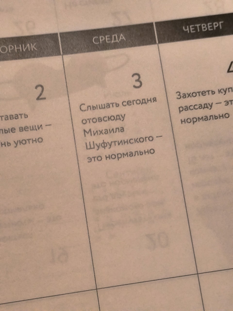 Катруся в LOOKY — Такой вот календарь 📅