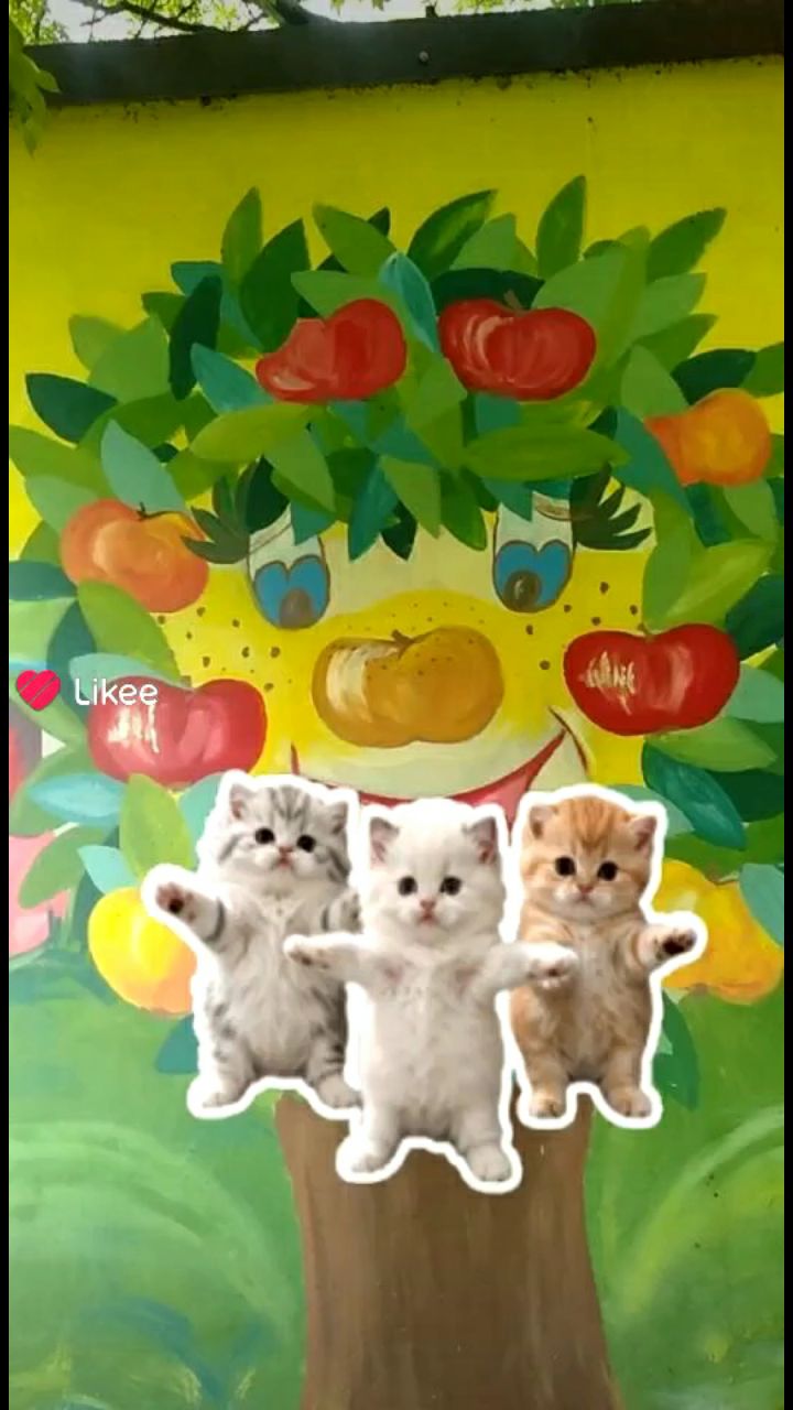 Looky_178847284101373 в LOOKY. . 