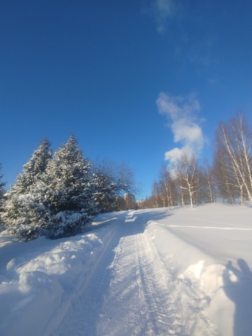 HateRaiser в LOOKY. #moscowparks,#moscowpark,#wintermoscow,#winternature,#landscapemoscow,#forestnature,#forestphotography,#walkingforest,#woodwalking,#woodnature,#паркимосквы,#паркпокровскоестрешнево,#гулятьпомоскве,#прлгулкапопарку,#зимняямосква. #moscowparks #moscow...