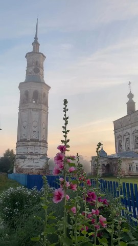 Looky_1697280774486 в LOOKY. . Самая красивая дерев...
