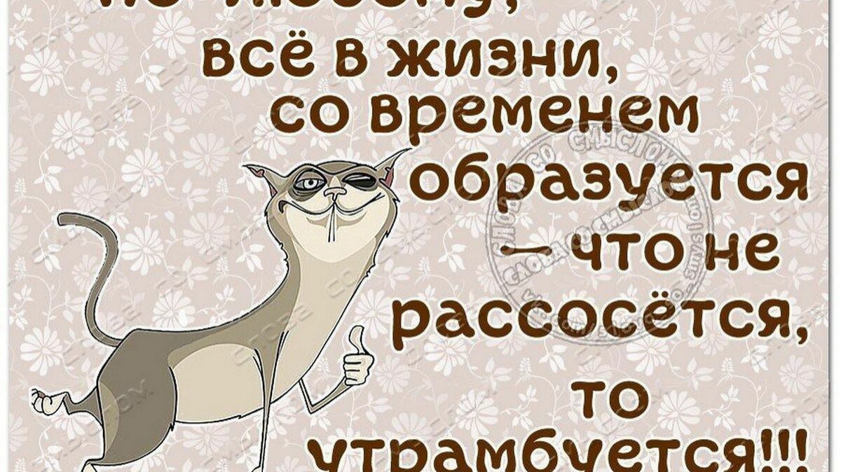 #утрамбуется