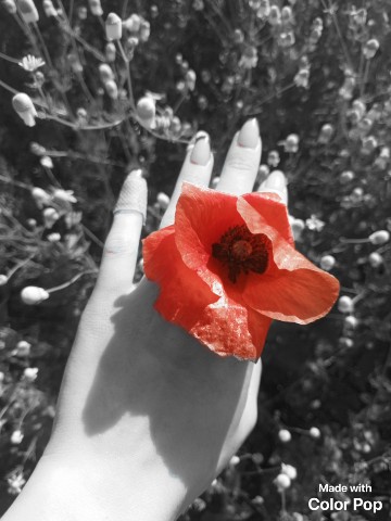 Looky_1677404374459 в LOOKY. . 🏵️🌼