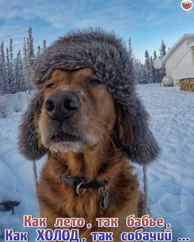 Looky_1717692547730 в LOOKY. . 