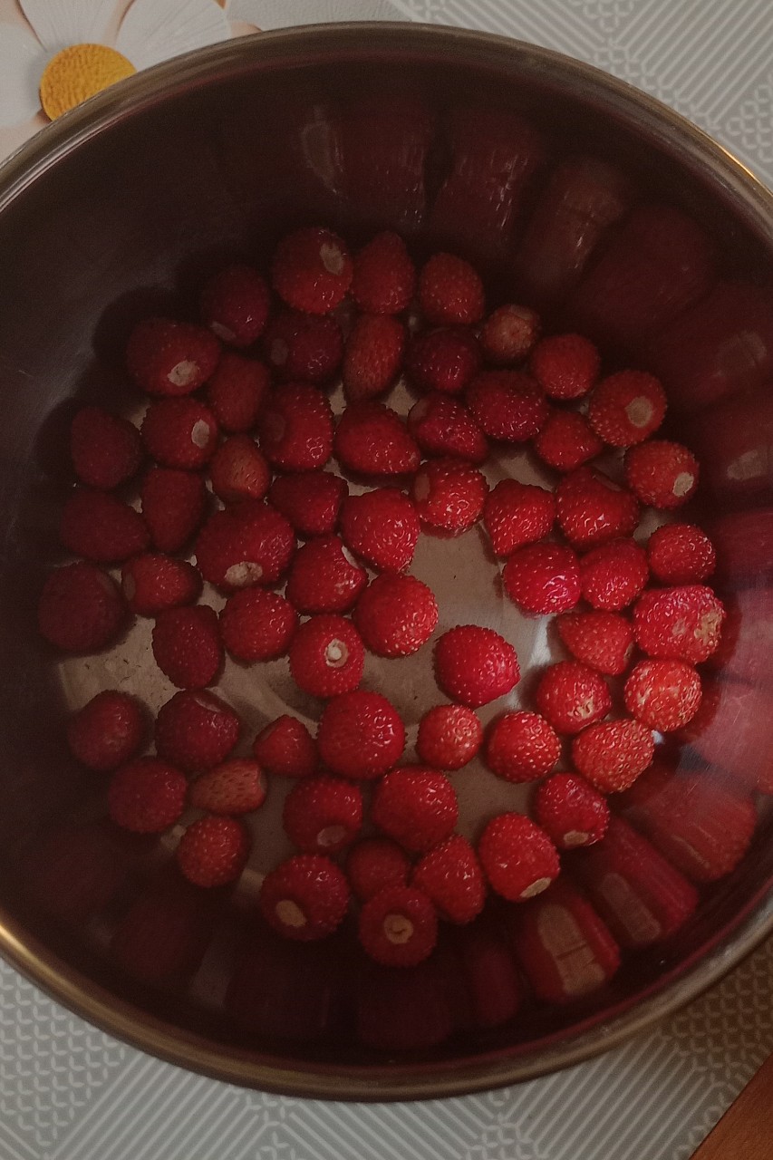 Lessio Best в LOOKY — публикация