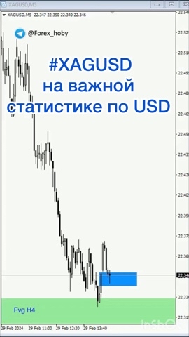 TraderTED в LOOKY. . 