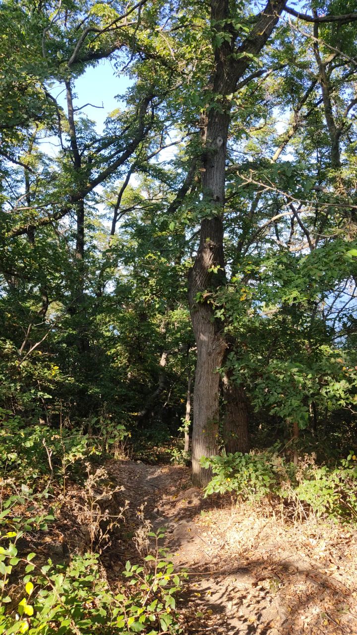 Looky_172332106657632 в LOOKY. . Осовины. Крым 🌳☀️