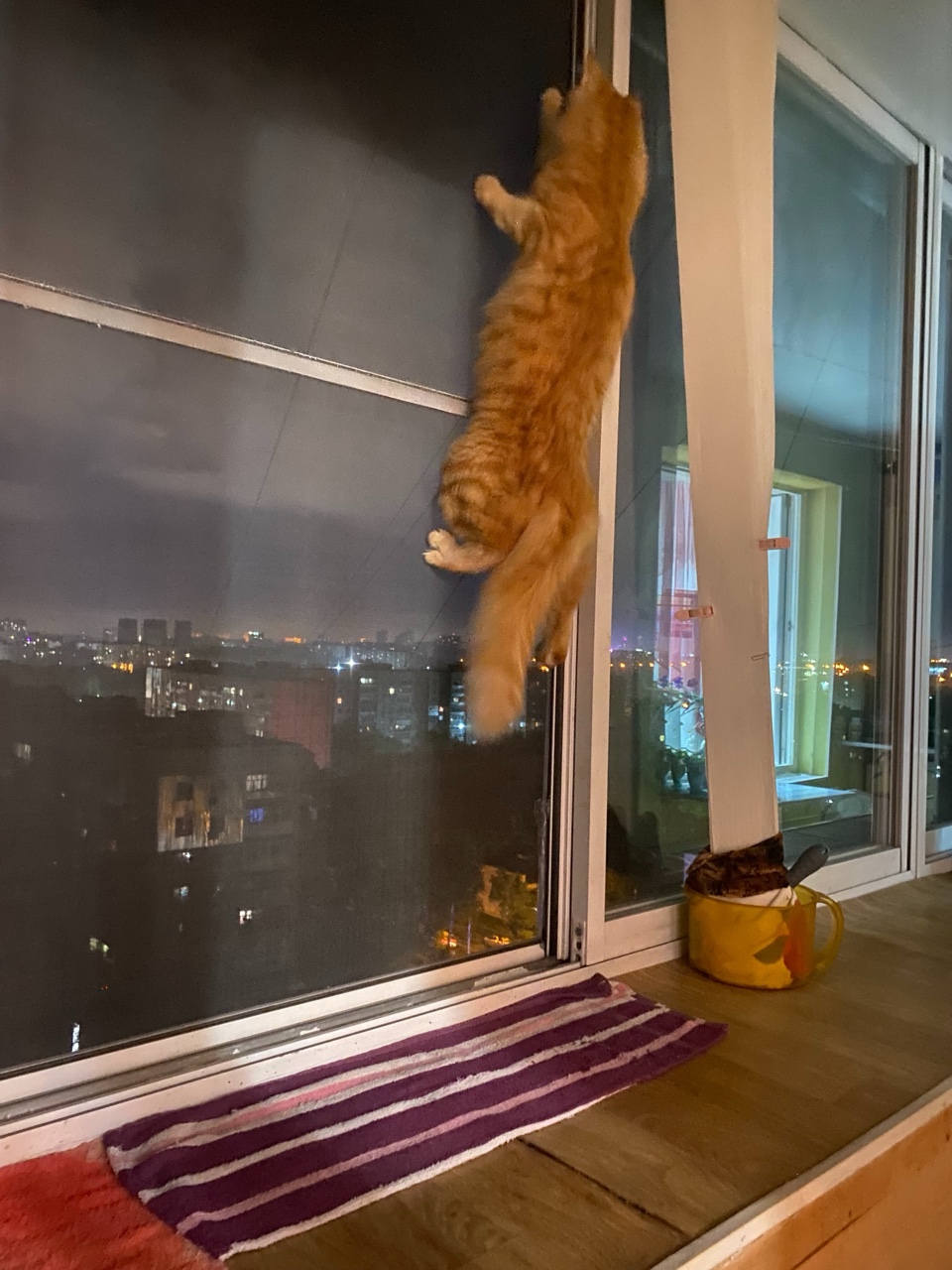 Татьяна Ненашева в LOOKY — фото 4