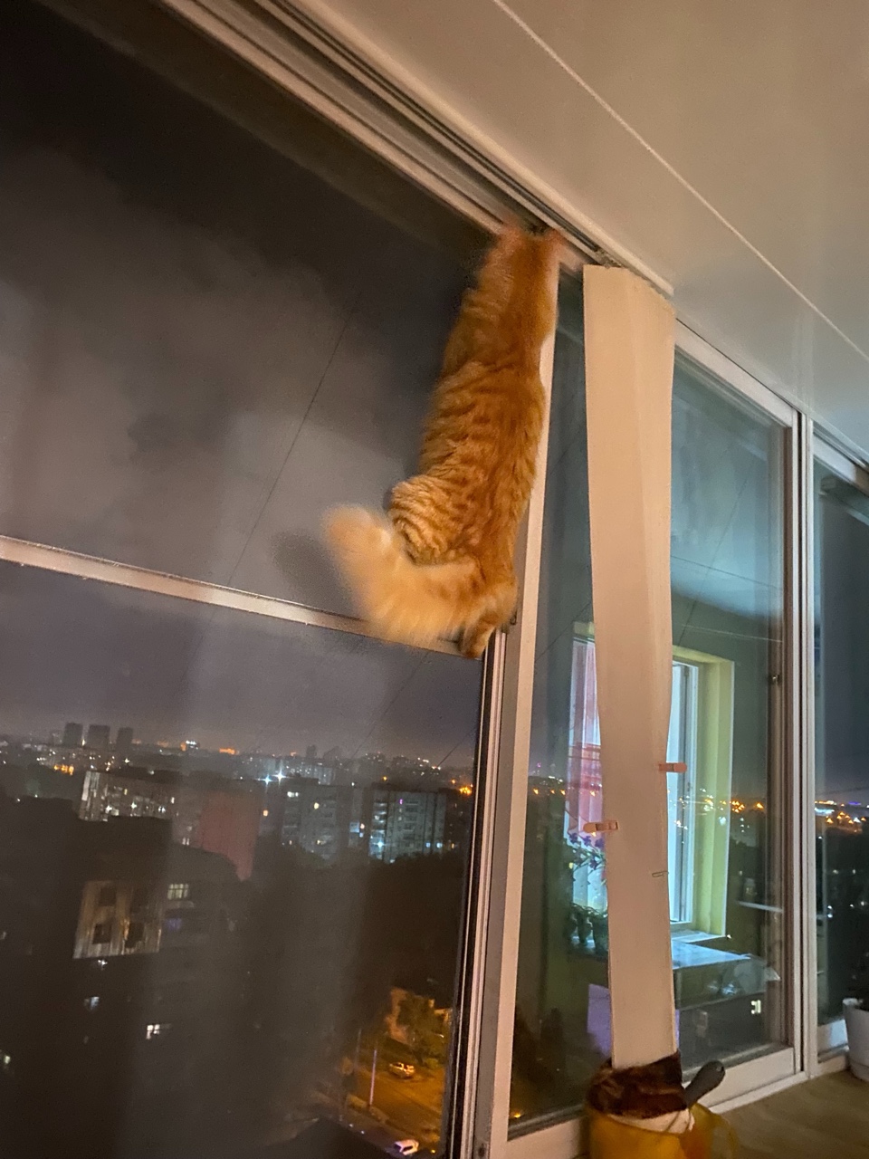 Татьяна Ненашева в LOOKY — фото 1
