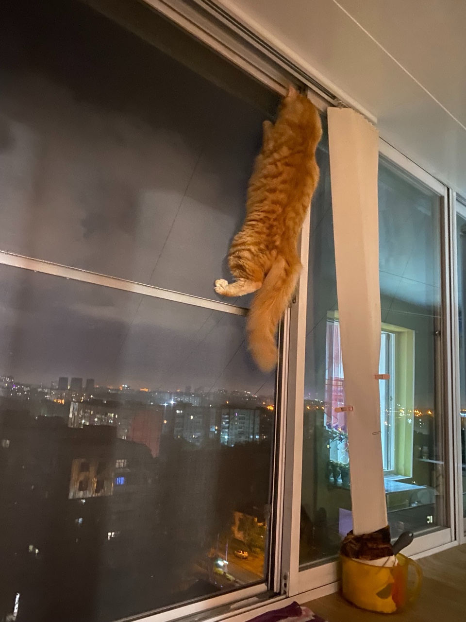 Татьяна Ненашева в LOOKY — фото 2