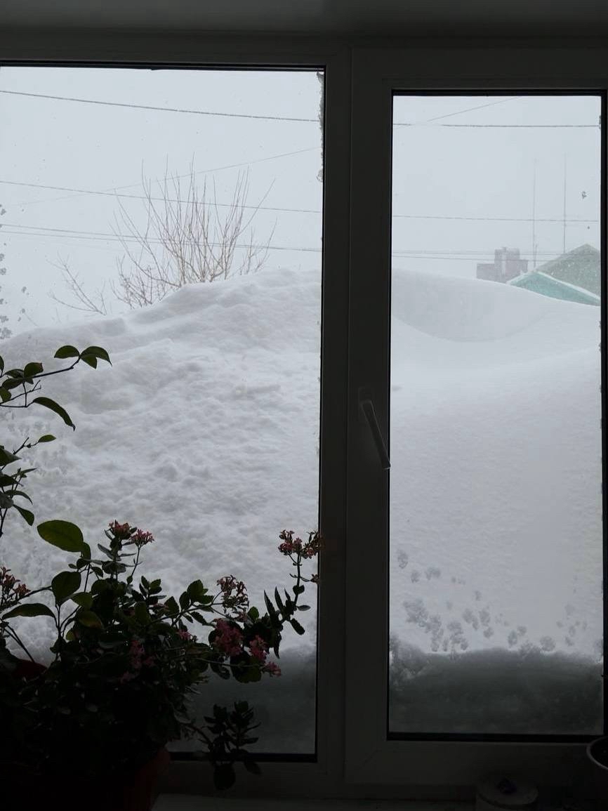 LOOKY_official в LOOKY — фото 2