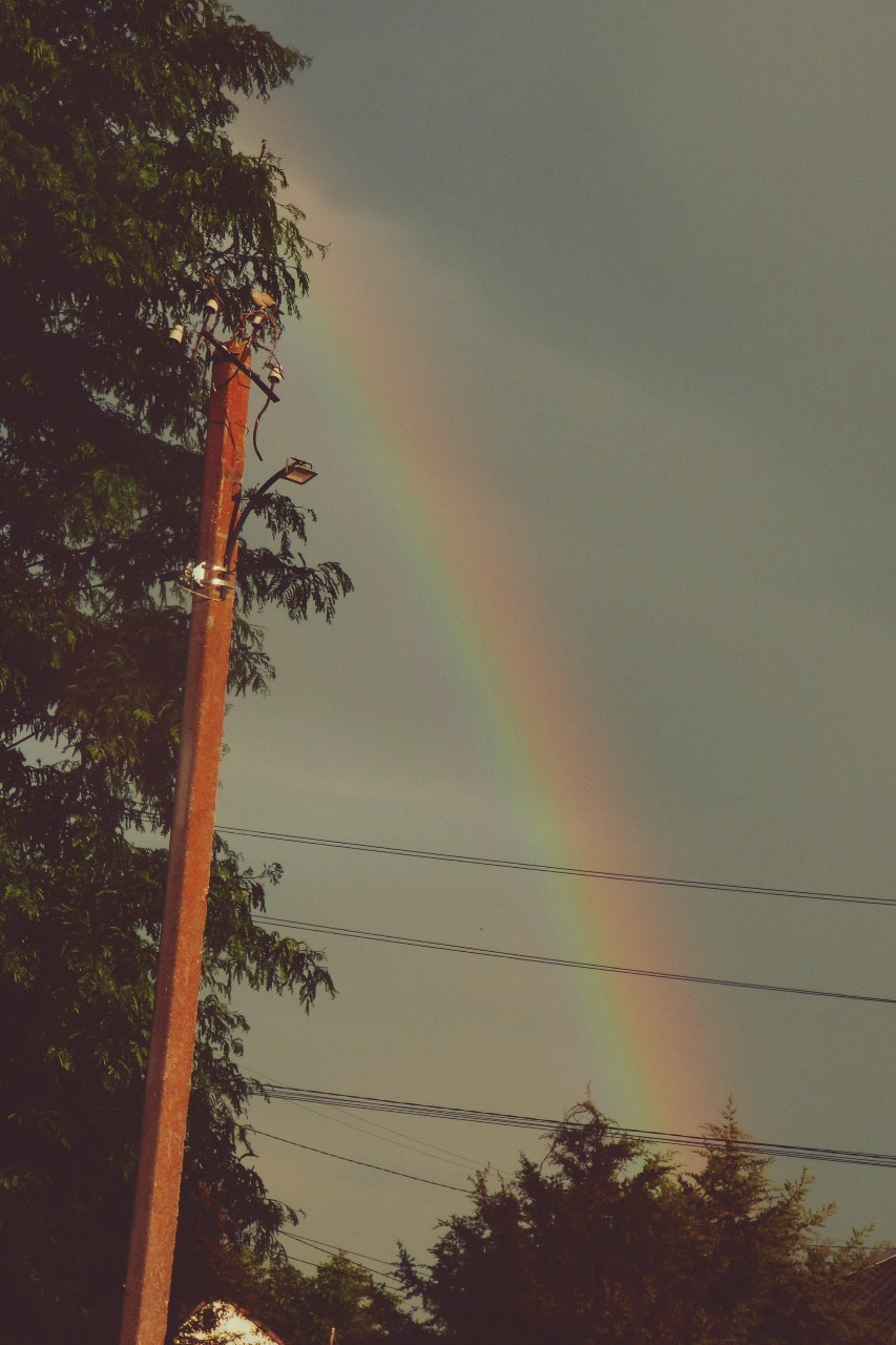 🌈🤭