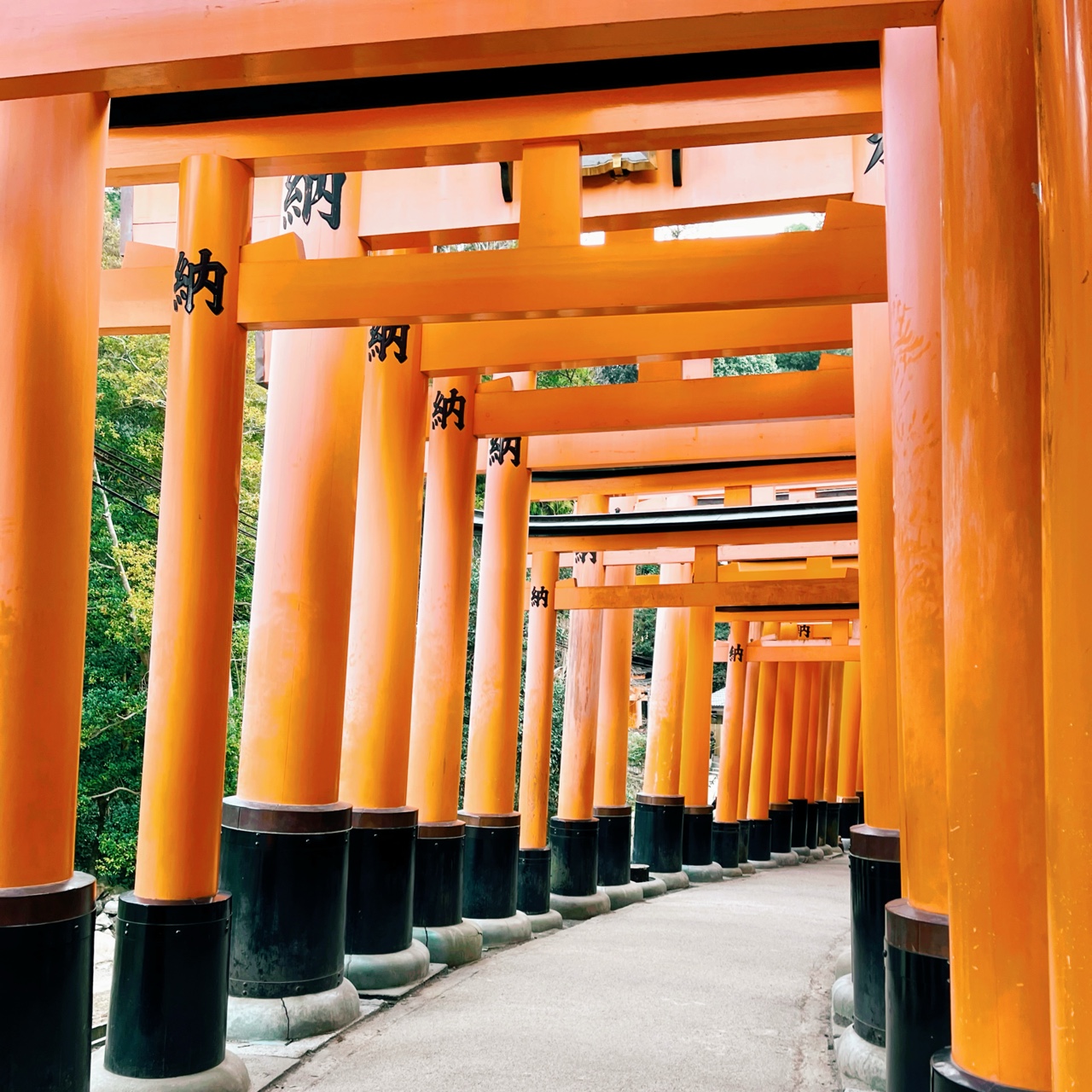 Храм Фусими-инари, Киото 🇯🇵