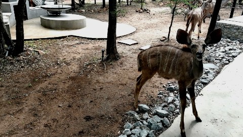 Home_Traveler в LOOKY. . Национальный парк Кр...