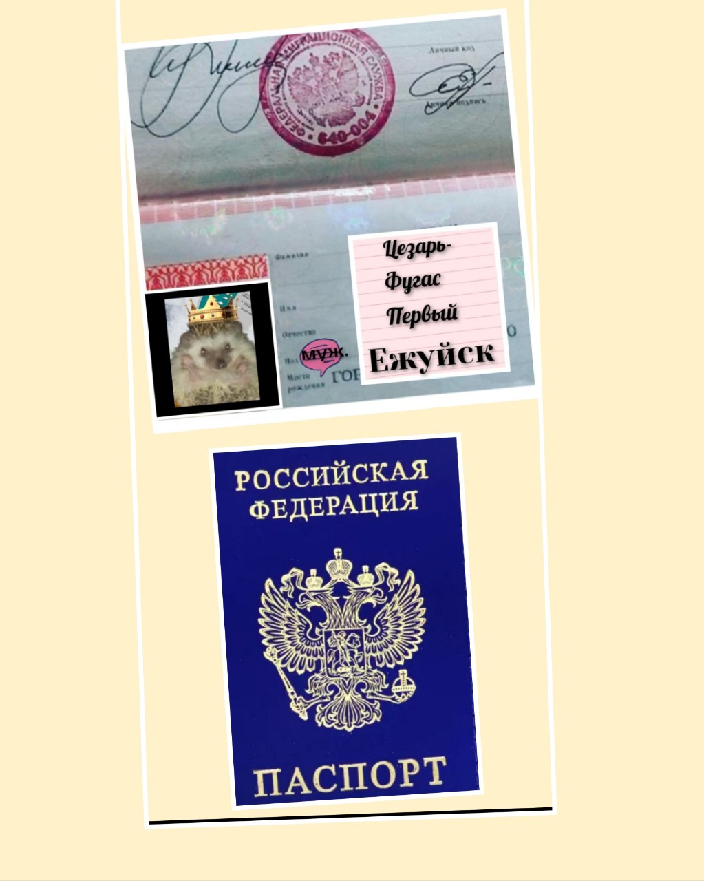 ЁЖкины ПРОделки в LOOKY — фото 2