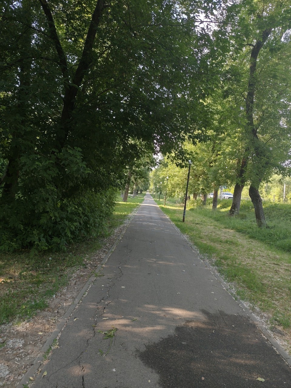 новикова надежда в LOOKY — фото 2