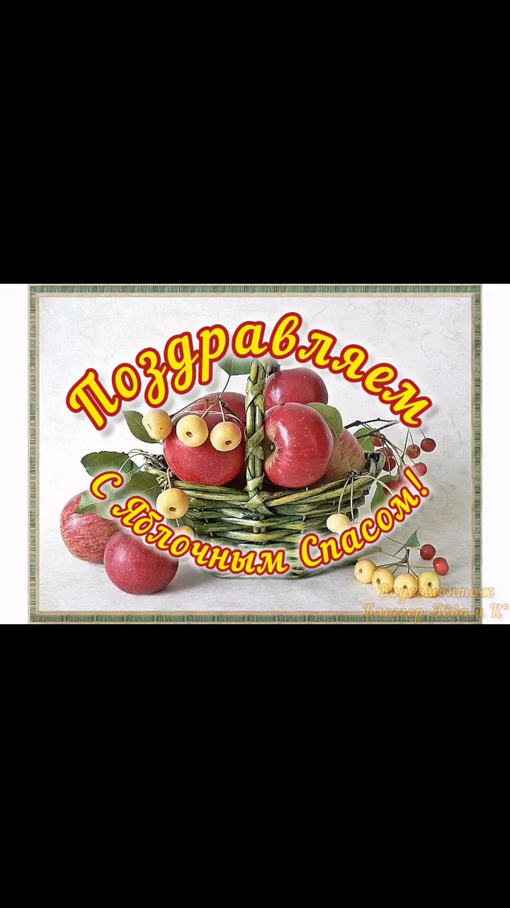 pserge61 в LOOKY. #БлоггерЛёваиК,#ЯблочныйСпасДревнихСлавян,#рыжийкот,#ориентал,#сфинкс,#чёрныйкот,#норвежскийлеснойкот,#русскоевропейскаялайка,#котики,#мыизкотограма,#RedCat,#Oriental,#Sphinx,#NorwegianForestCat,#Laika. <<ЯБЛОЧНЫЙ СПАС ДРЕВ...