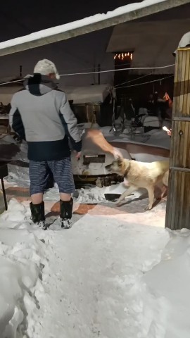 belovandbelov в LOOKY. . Арест и салют