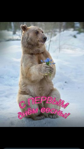 salavatatangulov в LOOKY. . 