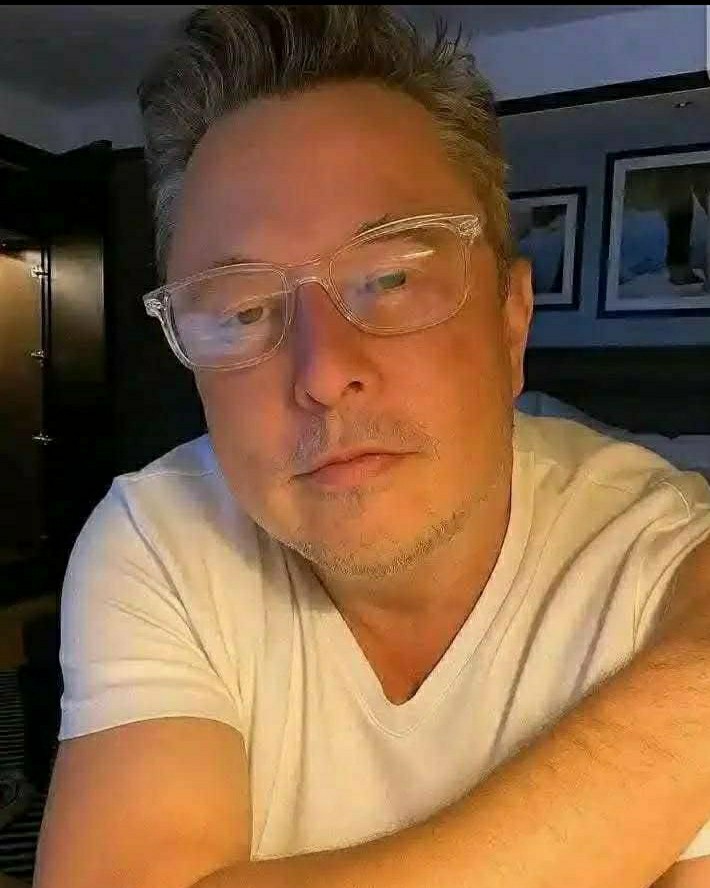 Elon_reeve.musk в LOOKY — публикация