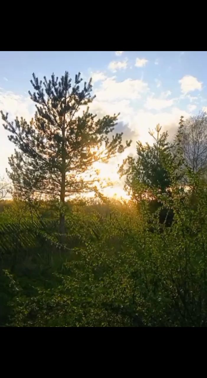 ЛисЪ в LOOKY. . Весна просыпается не...