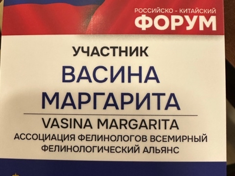 margarita__vasina в LOOKY. . Российско-Китайский ...