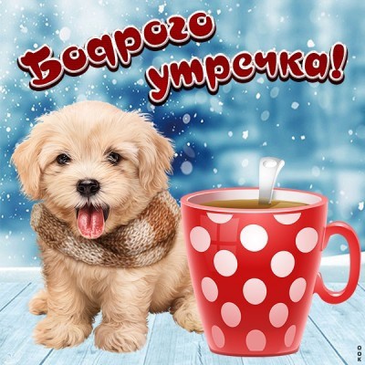 Looky_177821726465292 в LOOKY. . 