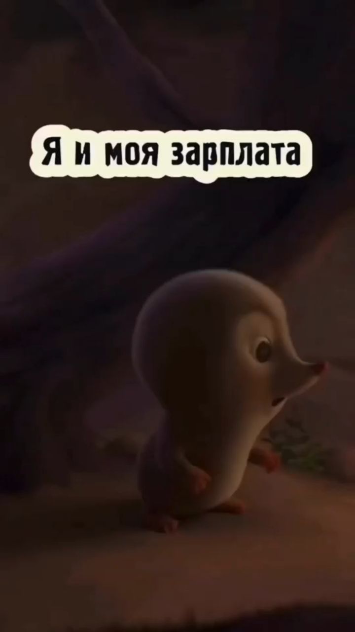Анастасия Маркелова в LOOKY. . [#немногоюмора ](нем...