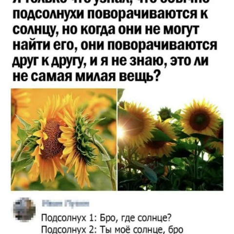 Зеленые пальцы в LOOKY. . Глядя на многочислен...