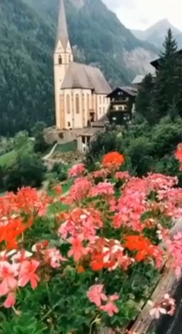 СВЕТЛАНА в LOOKY. . 