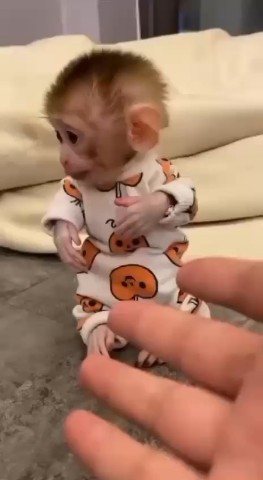 Looky_174357149477092 в LOOKY. . Улыбашка 🥰