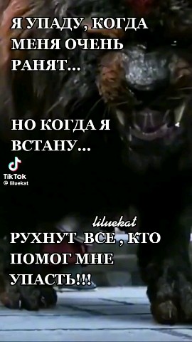 Владимир in LOOKY. . 
