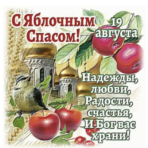 Looky_172389155958388 в LOOKY. . 