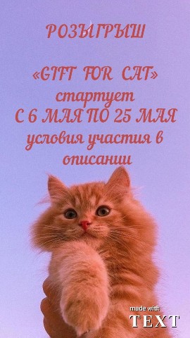 Looky_1672852342253 в LOOKY. #конкурс,#зарепост,#розыгрыш,#в,#котэрозыгрыш,#кормолюброзыгрыш. КАК И ОБЕЩАЛИ! РОЗЫГ...