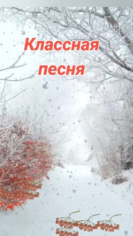 Looky_1701867496724 в LOOKY. . 