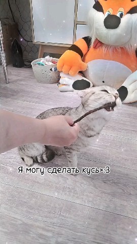 Looky_172500704247895 в LOOKY. . Плюшка 🫀