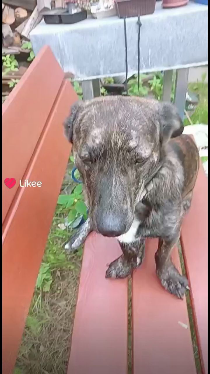 Looky_172535545459200 в LOOKY. . Старве видео, которы...